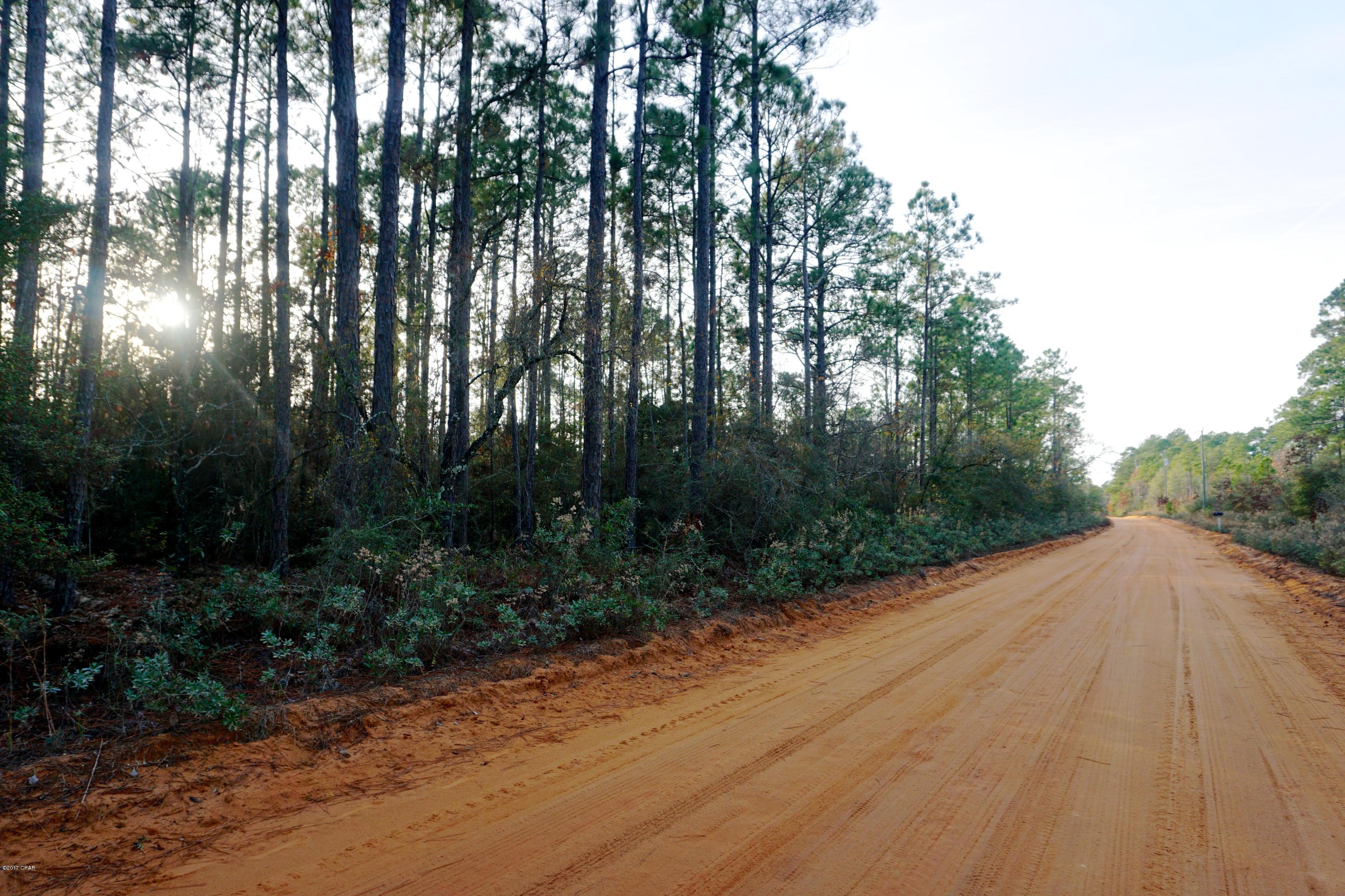 Buckhorn Creek Homes for Sale and Real Estate in Chipley, Florida