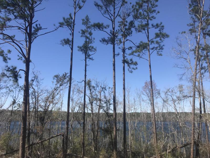 Compass Lake In the Hills Homes for Sale and Real Estate in Alford, Florida