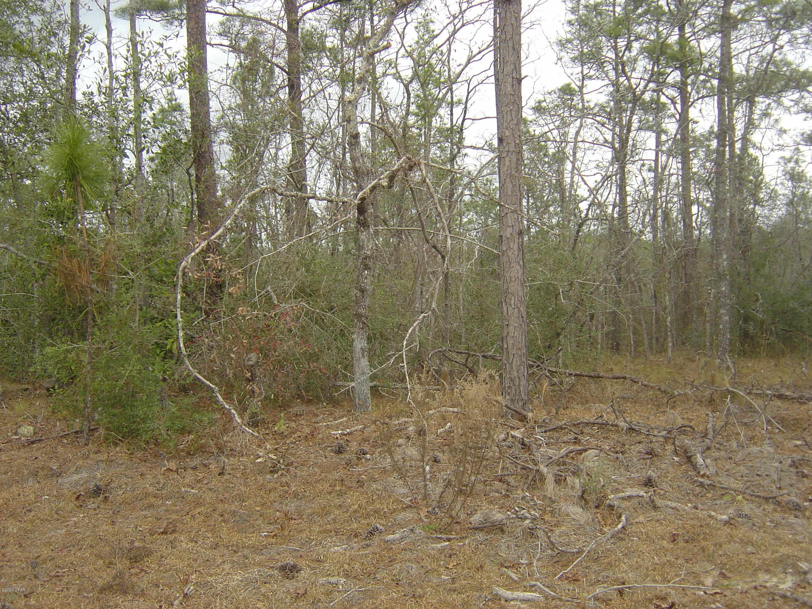 Compass Lake Hills Homes for Sale and Real Estate in Alford, Florida