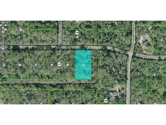 Property ID 353572