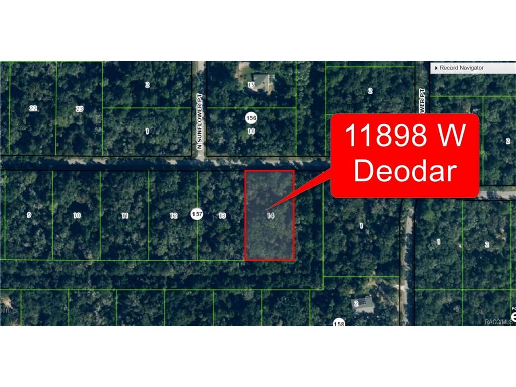 Property ID 353574