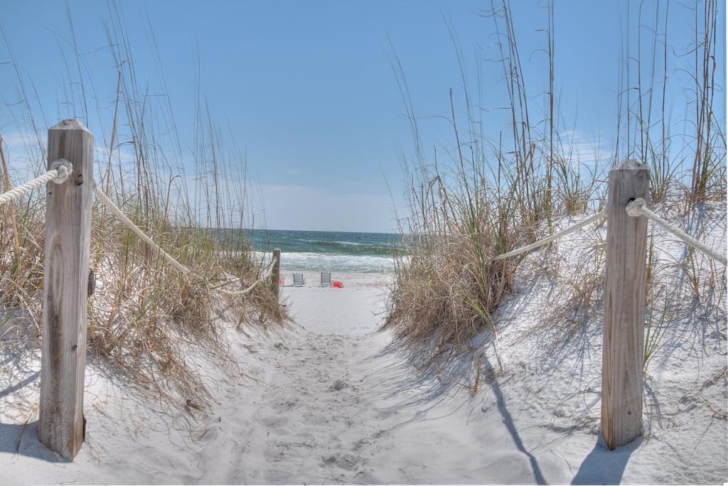 Property ID 809636