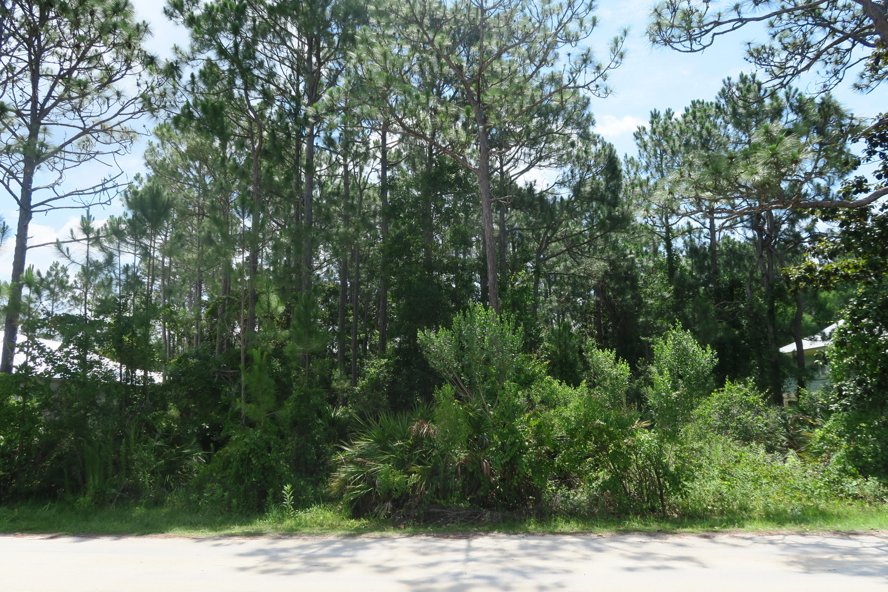 Property ID 800539