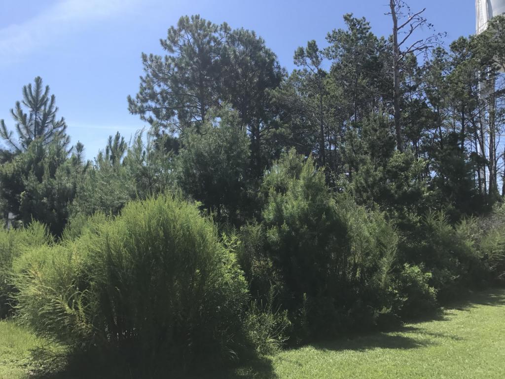 Property ID 780510