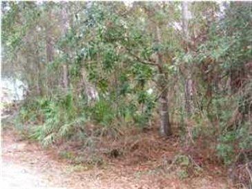 Property ID 824215