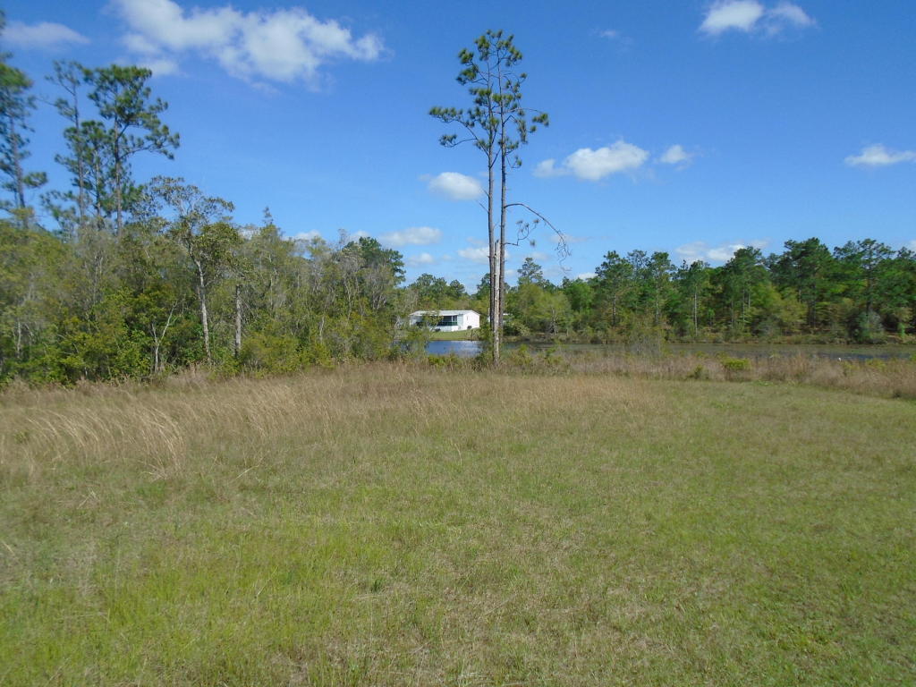 Property ID 768817
