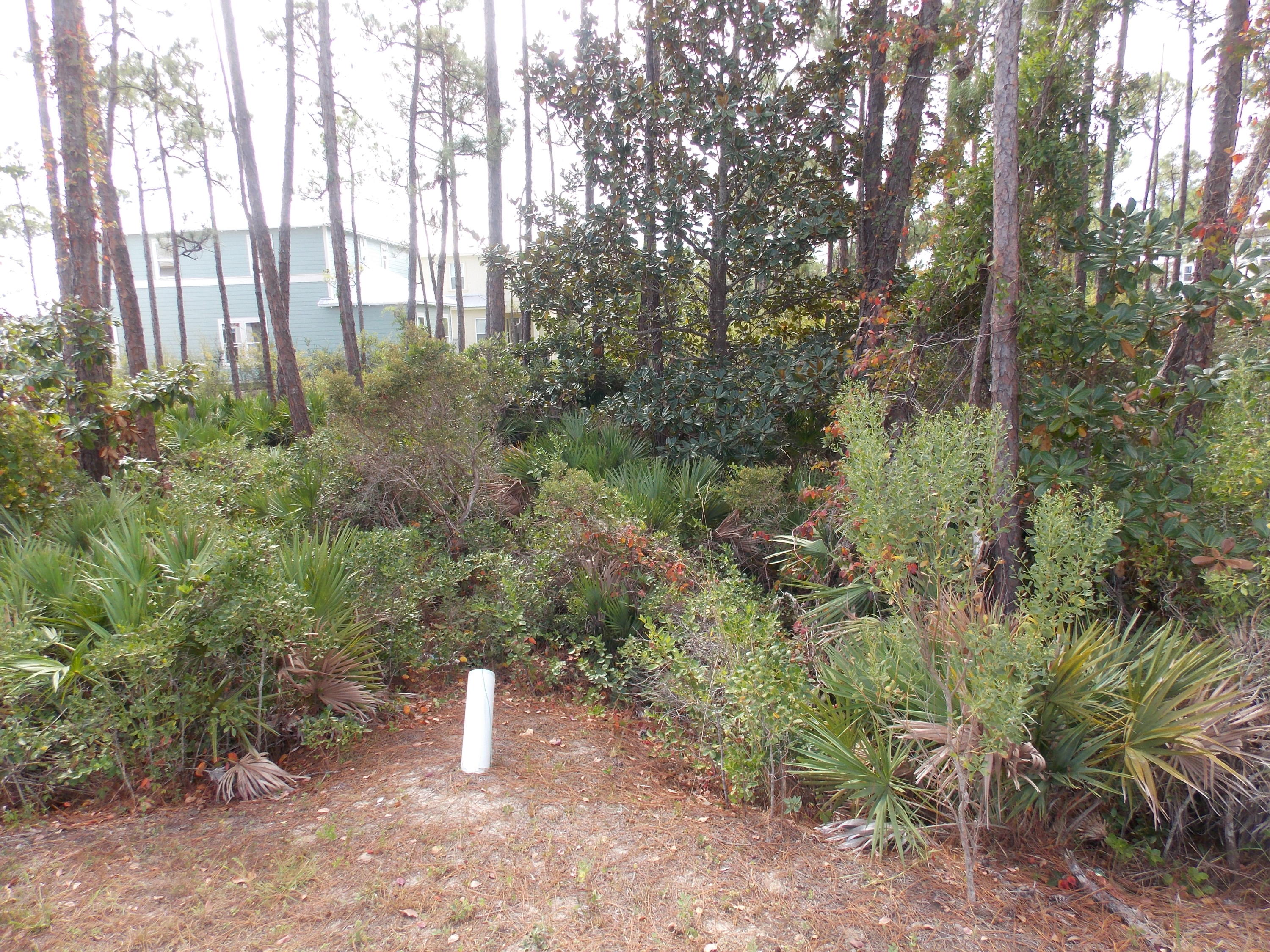 Property ID 833219