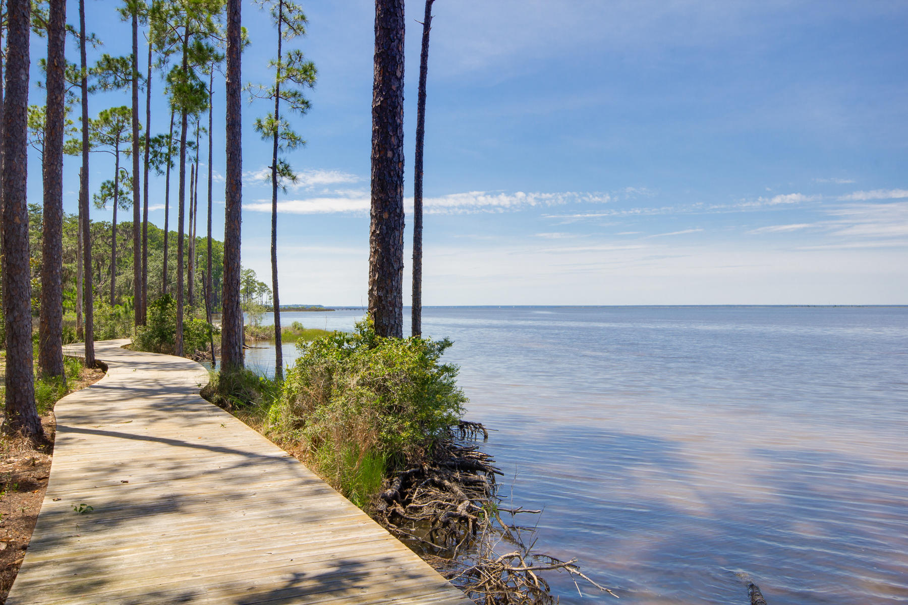 Property ID 819520