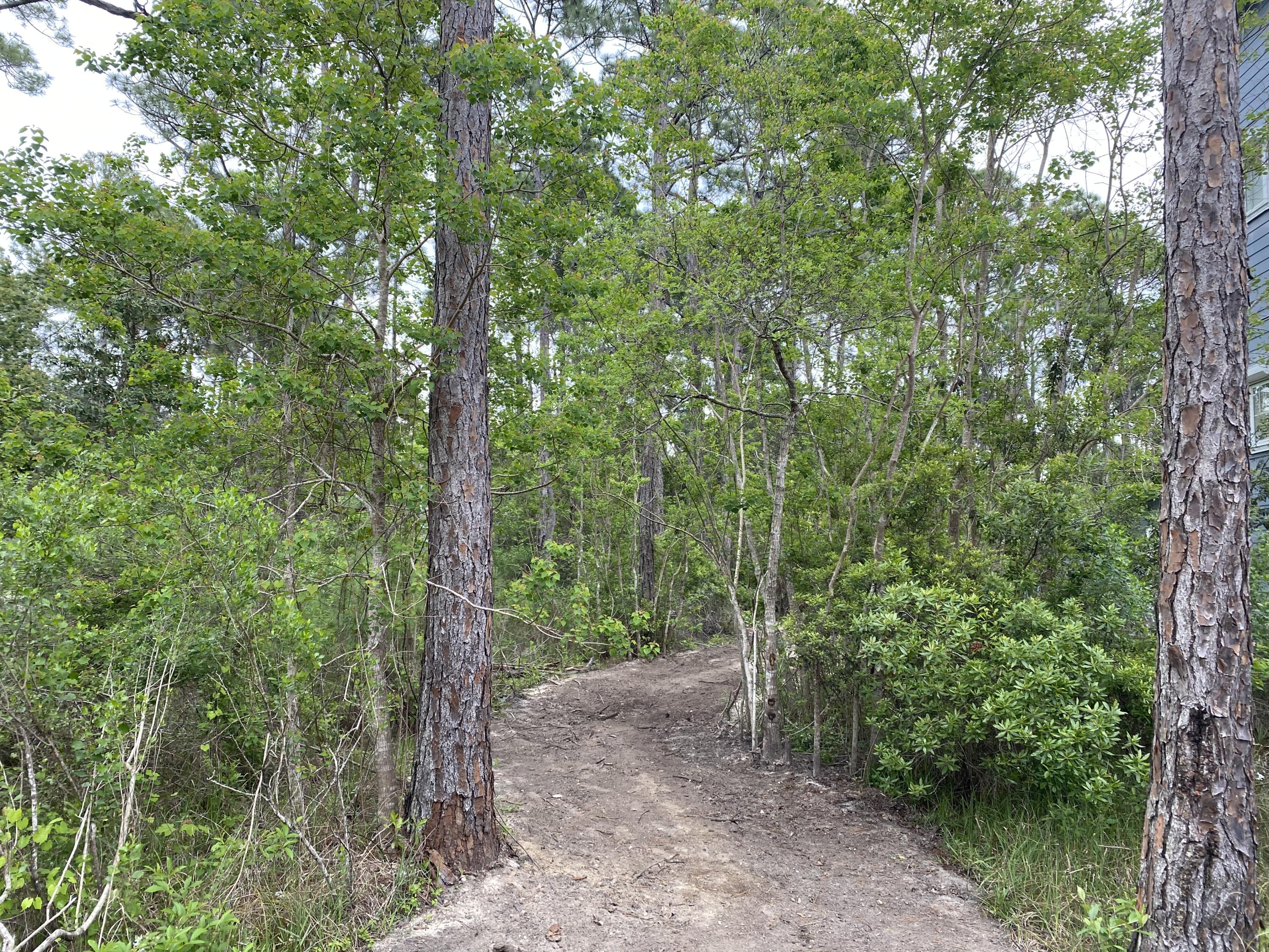 Property ID 804961