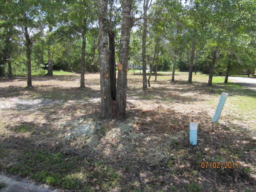 Property ID 781330