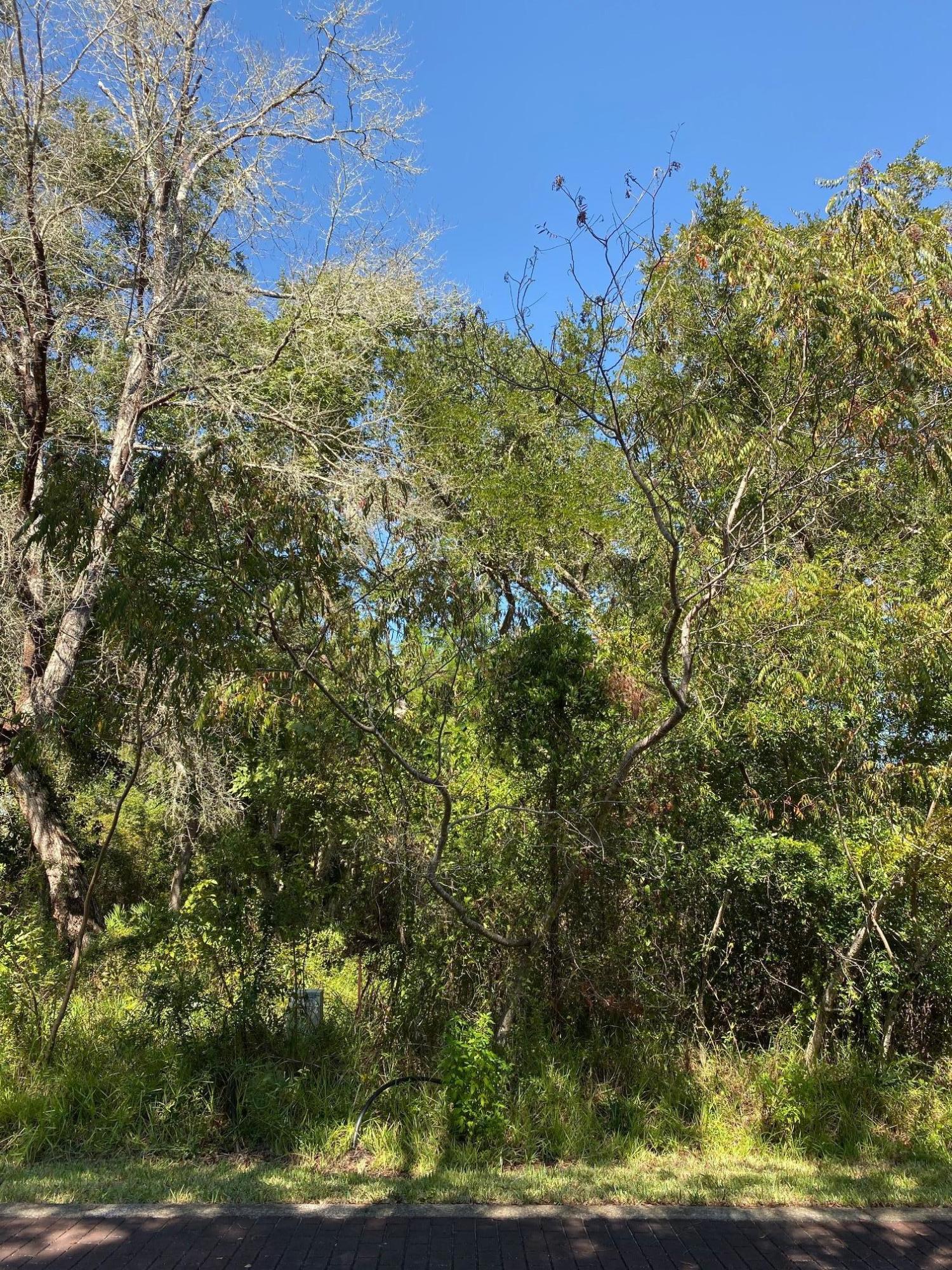 Property ID 834164