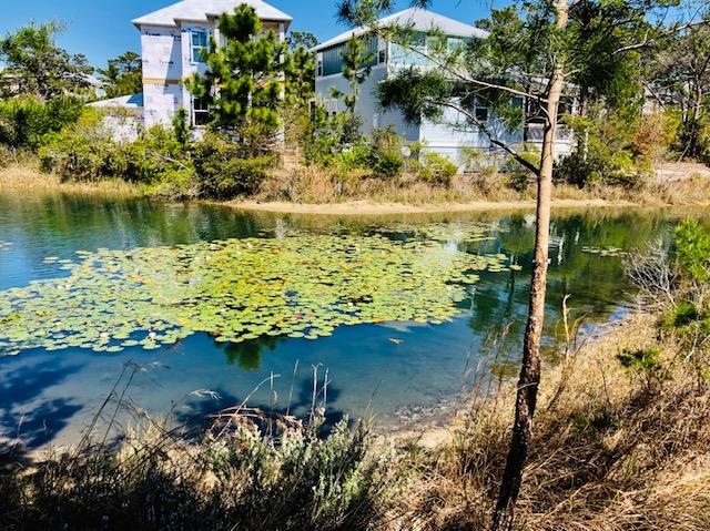 Property ID 818966