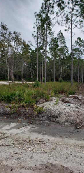 Property ID 262209