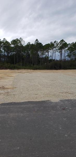 Property ID 262199