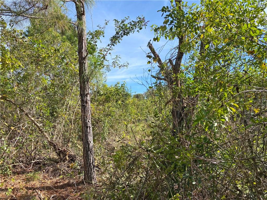 0 SW Leighton Farm, Palm City, FL, 34990