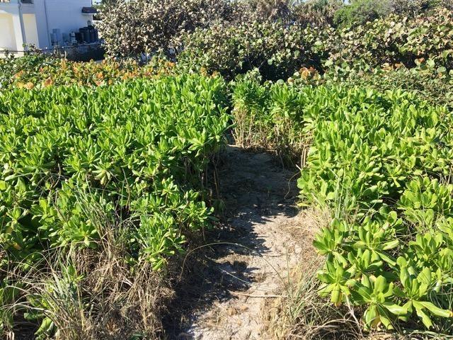 12620 Highway A1A, Vero Beach, FL, 32963