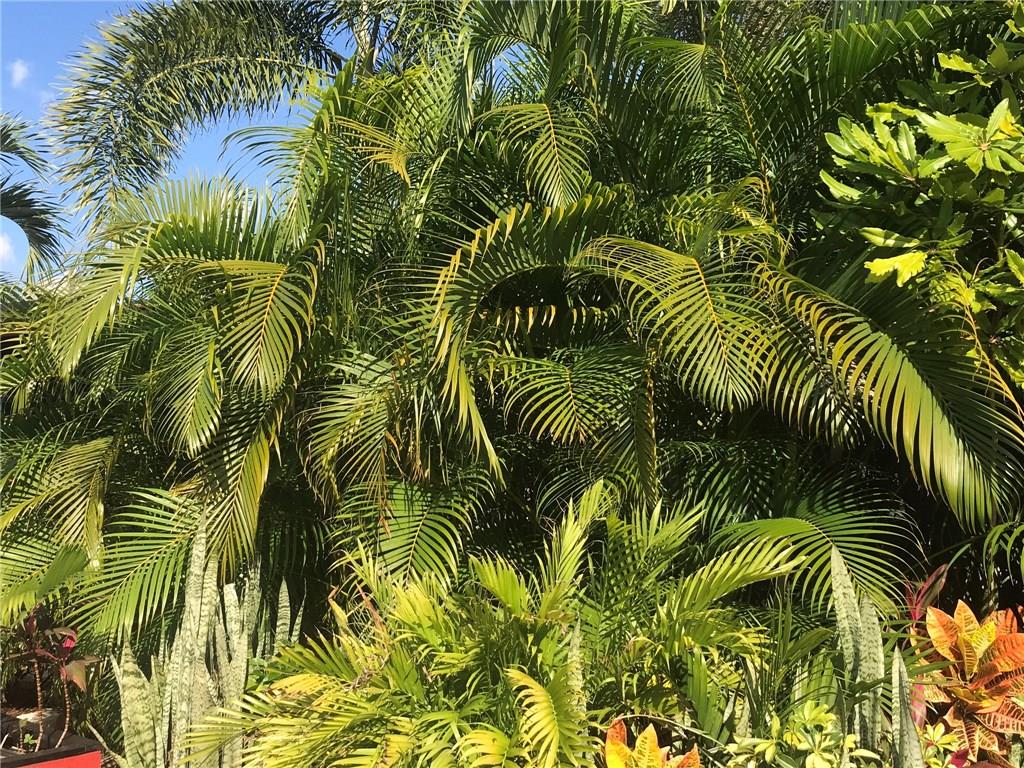 25 NW Boundary, Port Saint Lucie, FL, 34986