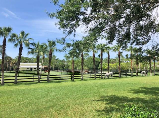 6330 SW Gator, Palm City, FL, 34990