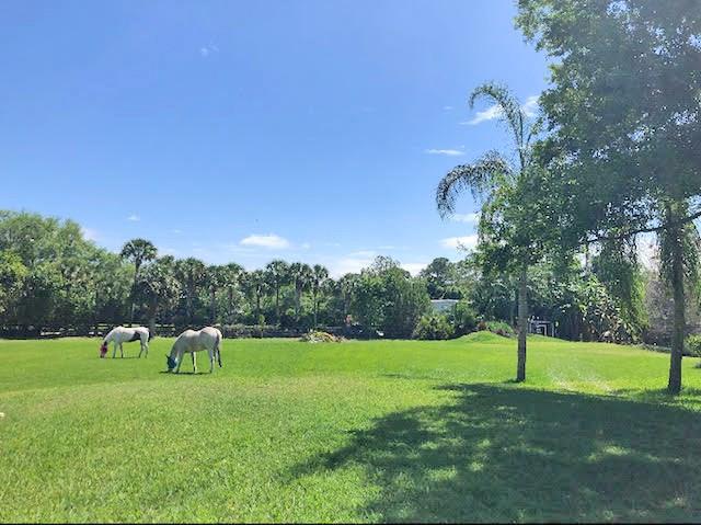 6330 SW Gator, Palm City, FL, 34990