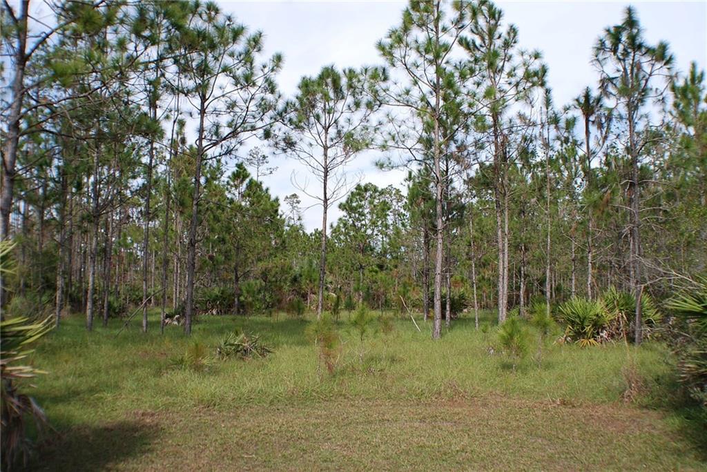 32801 Hwy 441 N., #135, Okeechobee, FL, 34972