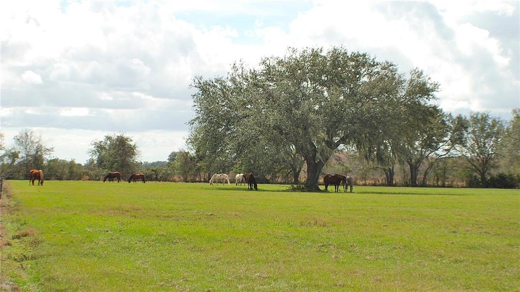 32801 Hwy 441 N., #135, Okeechobee, FL, 34972