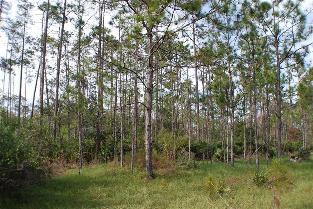 32801 Hwy 441 N., #135, Okeechobee, FL, 34972