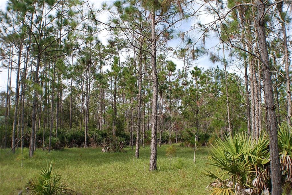 32801 Hwy 441 N., #135, Okeechobee, FL, 34972