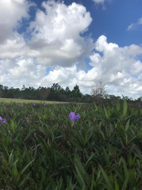 101 SE Via Venezia, Port Saint Lucie, FL, 34984