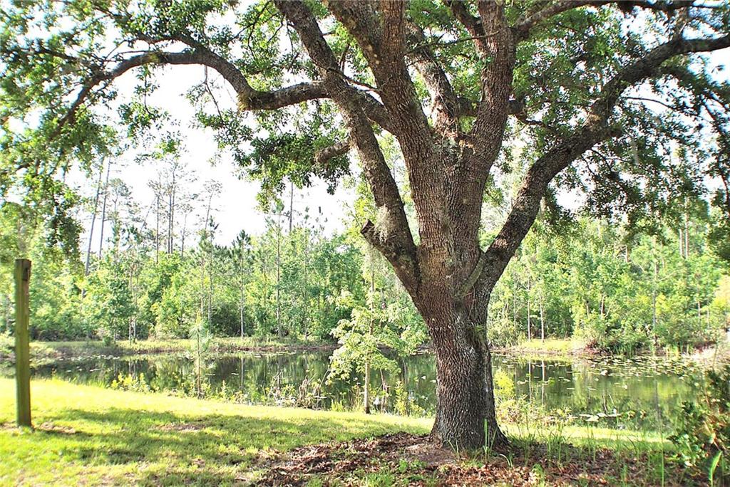 32801 Hwy 441 N., #211, Okeechobee, FL, 34972