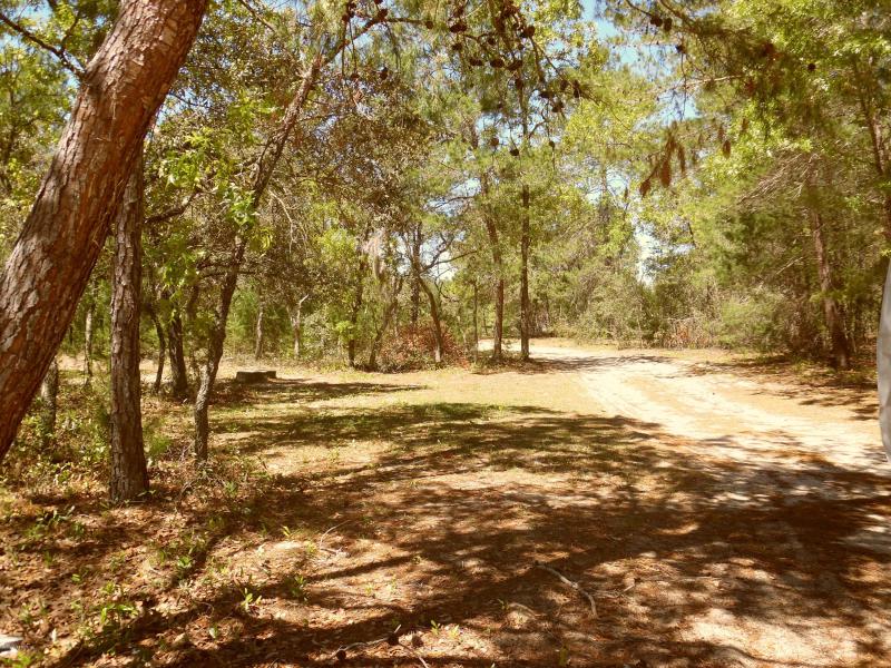 Property ID 876107