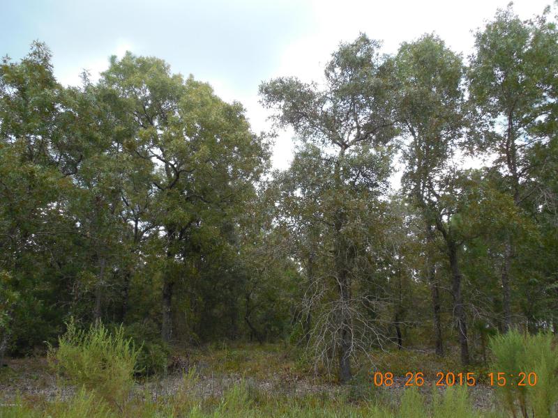 Property ID 789478