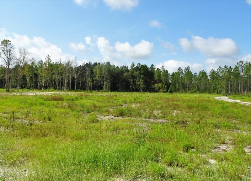 Property ID 854513
