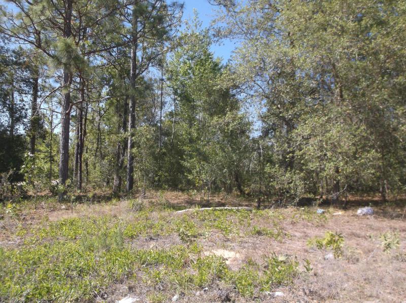 Property ID 883548