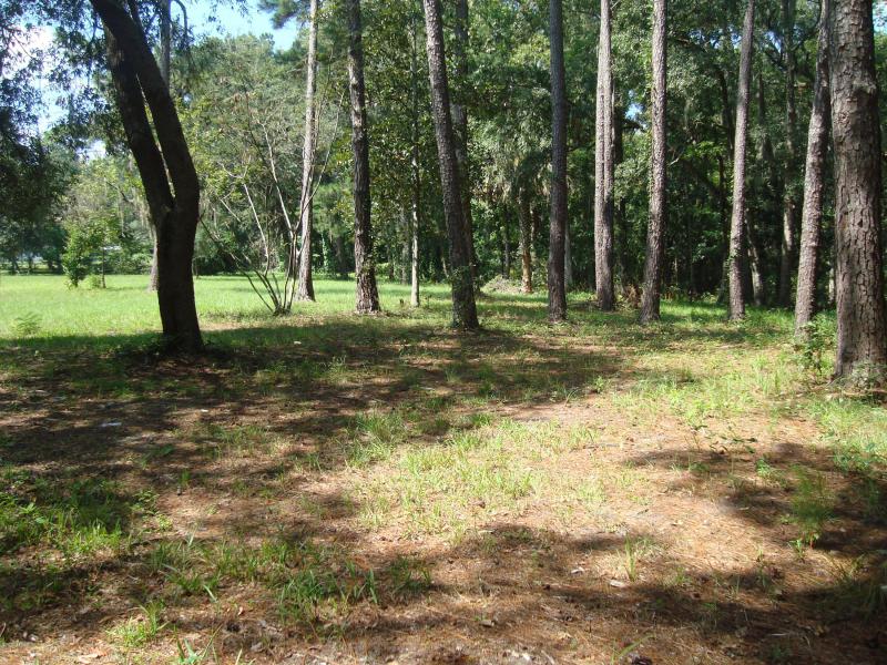Property ID 938151