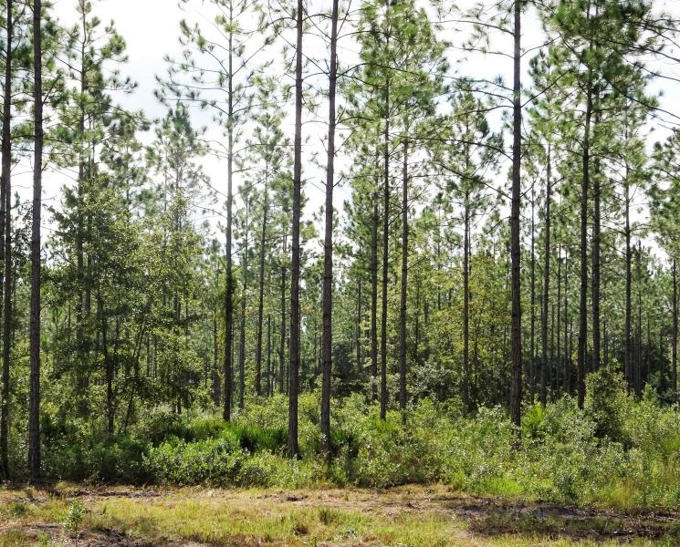 Property ID 965551