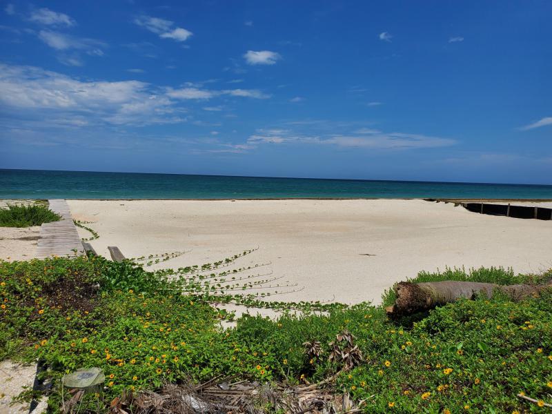 Property ID 1057852