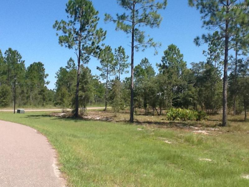 Property ID 889491