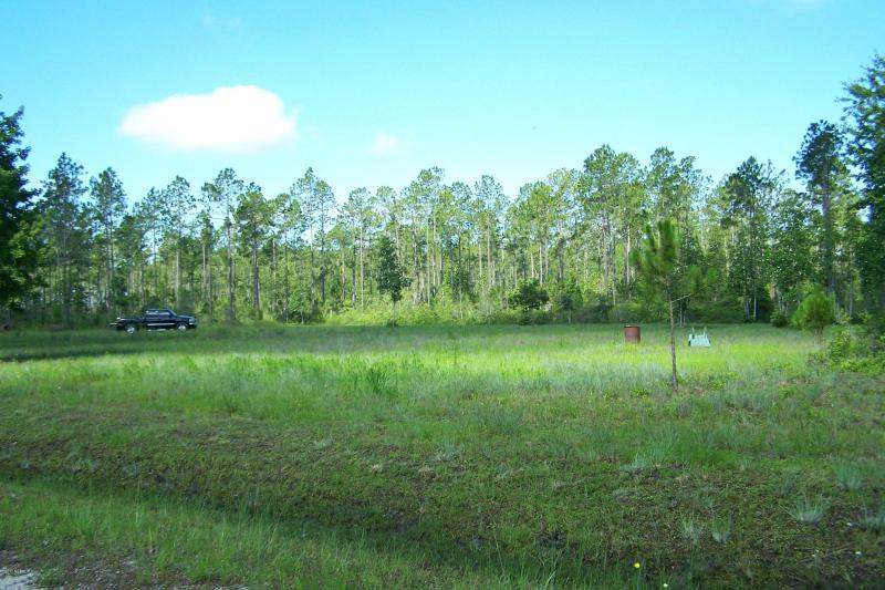 Property ID 889294