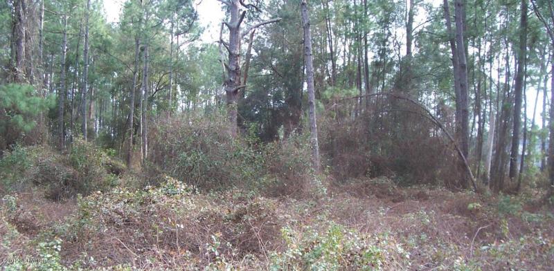 Property ID 810695