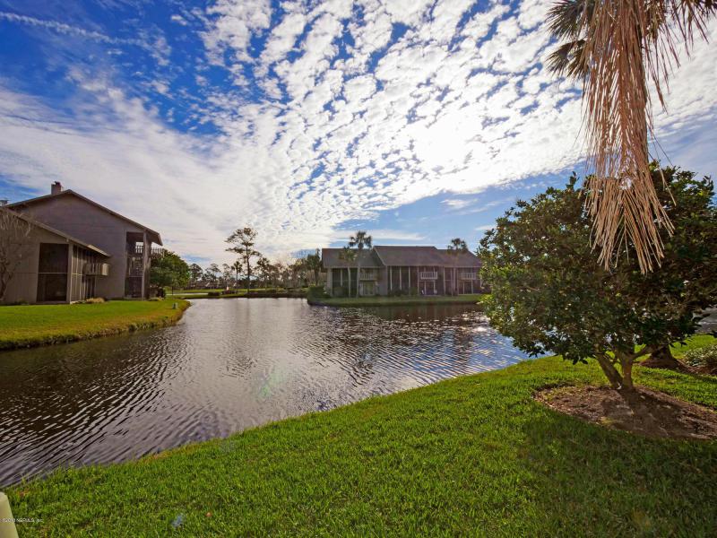 Property ID 923895