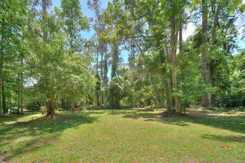 11572 Mandarin Forest Drive gallery image #50