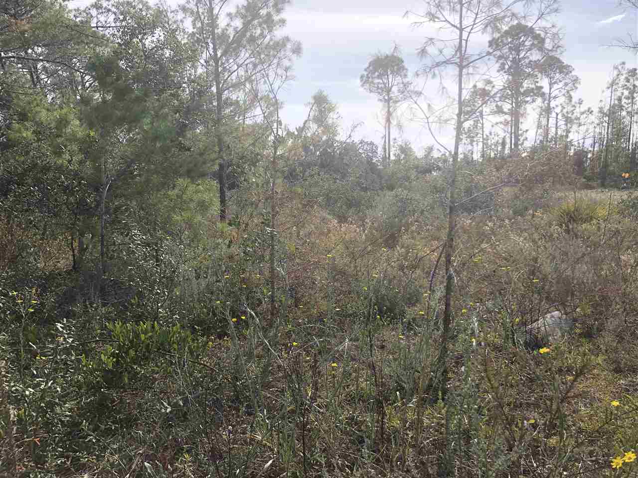 Property ID 314201