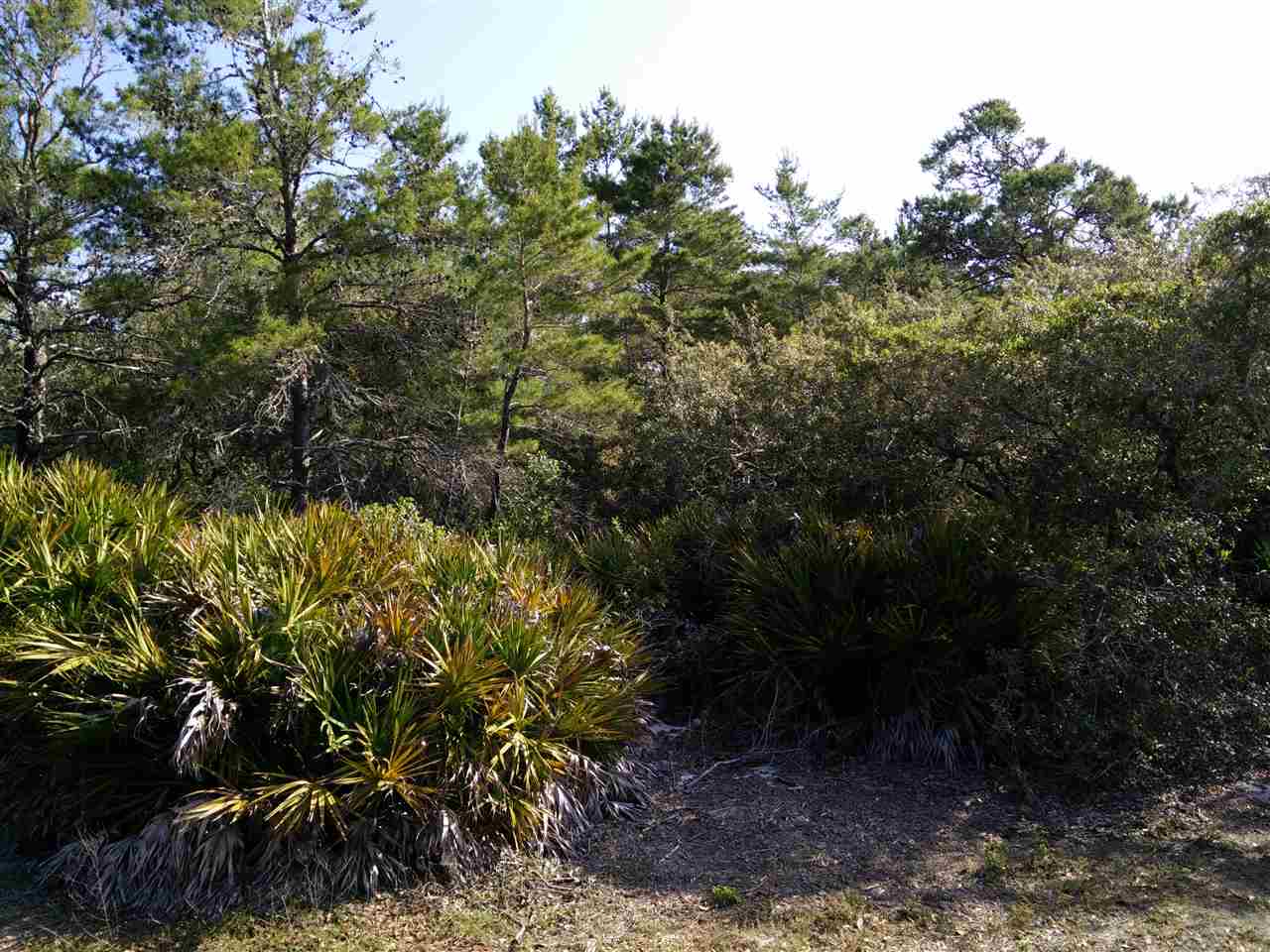 Property ID 280583