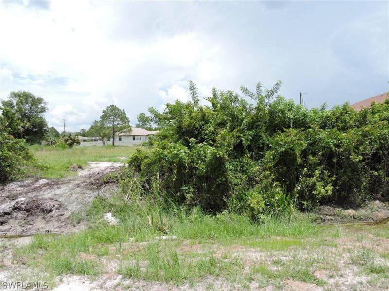 Property ID 217049667