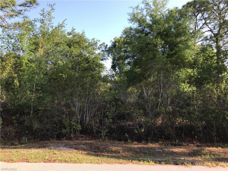 Property ID 217031537