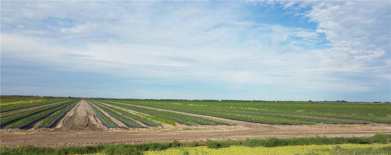 18400 CR 835, Clewiston, FL
