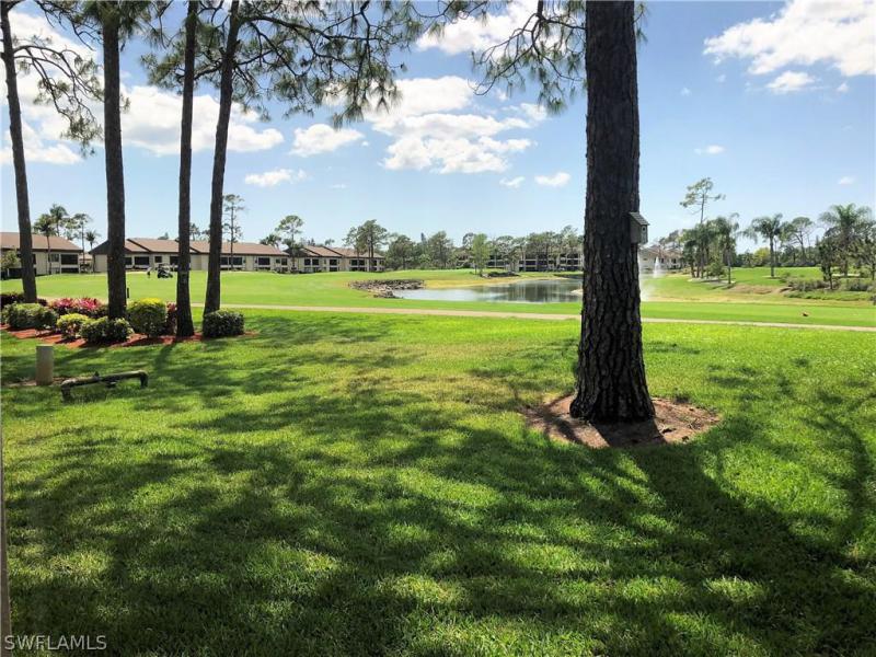 Property ID 218028104