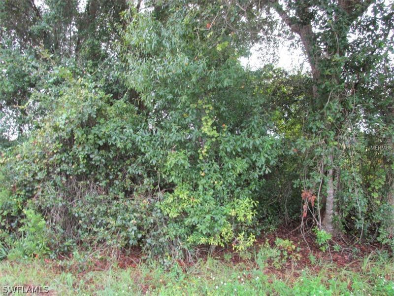 Property ID 217063871