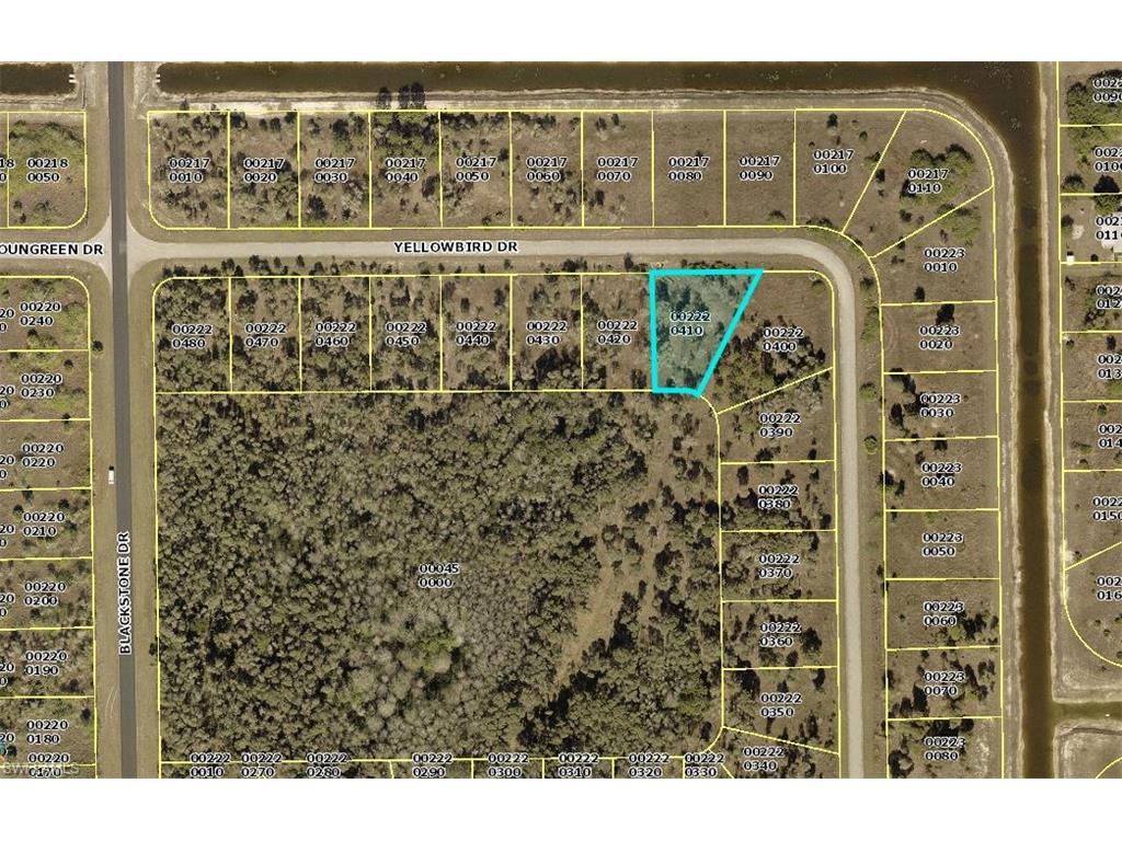 Property ID 217079005