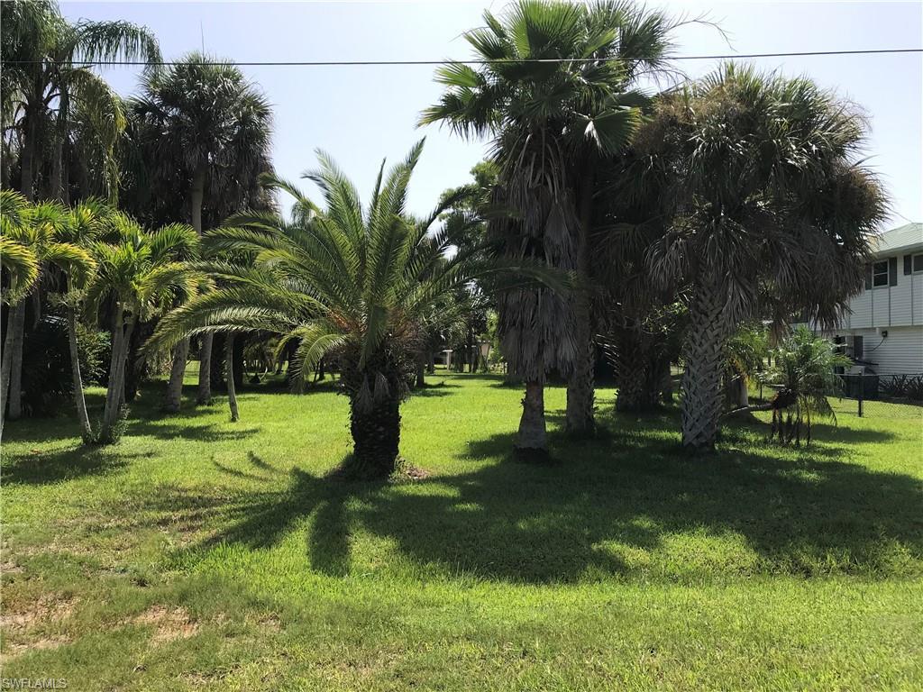 Property ID 218056905